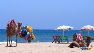 モロッコは観光に最高のロケーション。砂浜にラクダと過ごす。